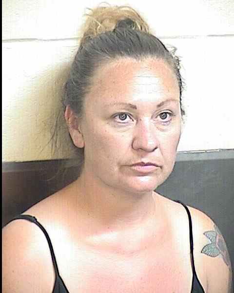 Goodman, Nicole Michelle | Stolen Vehicle