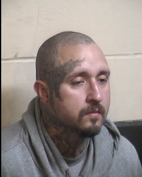 Davidson, Ronnie Brian | Stolen Vehicle