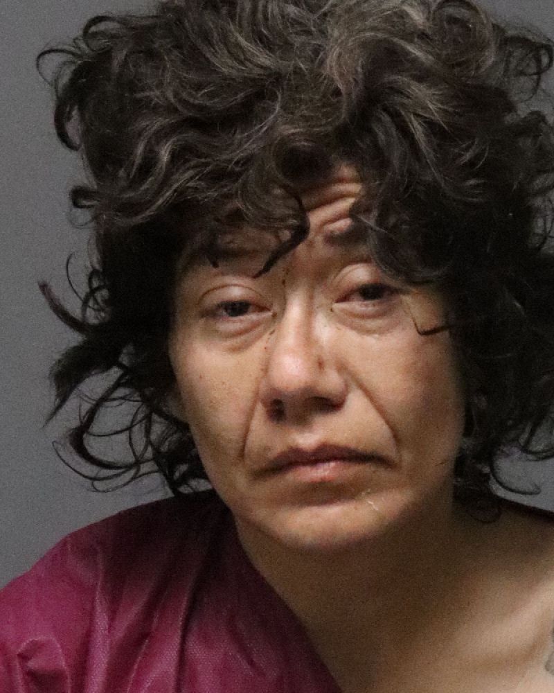 Vargas, Maricella Victoria | Stolen Vehicle
