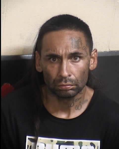 Chavez, Michael Angelo | Stolen Vehicle