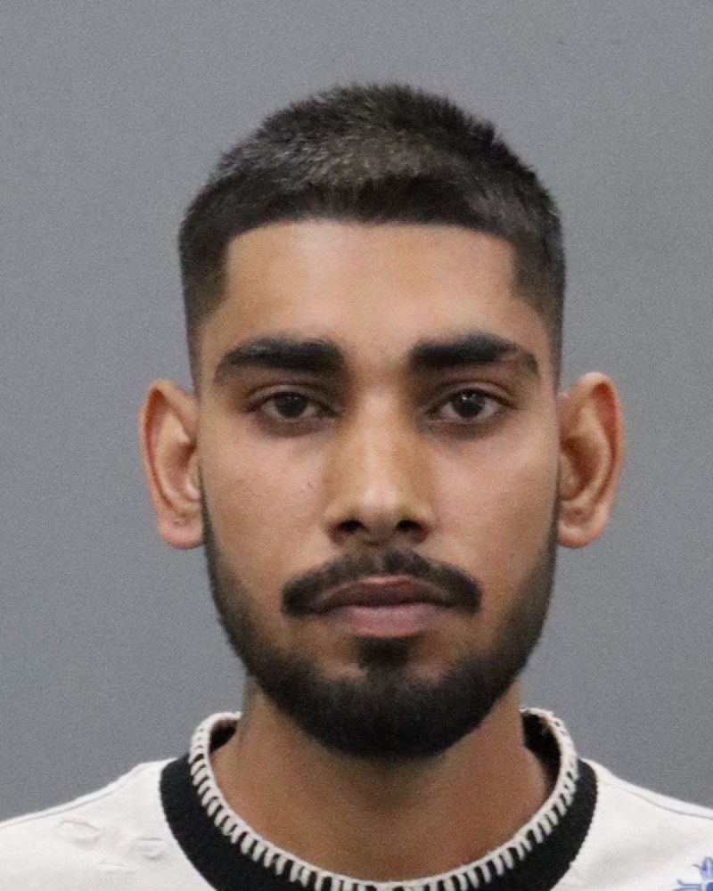 Kumar, Sahil  | Grand Theft